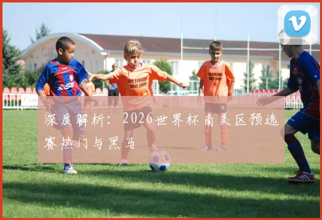 深度解析：2026世界杯南美区预选赛热门与黑马
