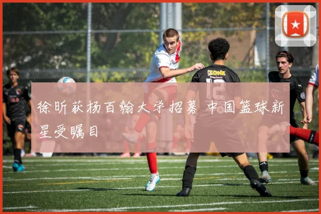 徐昕获杨百翰大学招募 中国篮球新星受瞩目